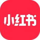 套路女王视频回放