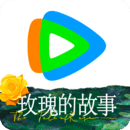 张佳宁高至霆电视剧小城故事多
